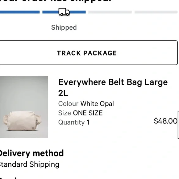 GOOD CONDITION Lululemon large belt bag - Picture 5 of 6